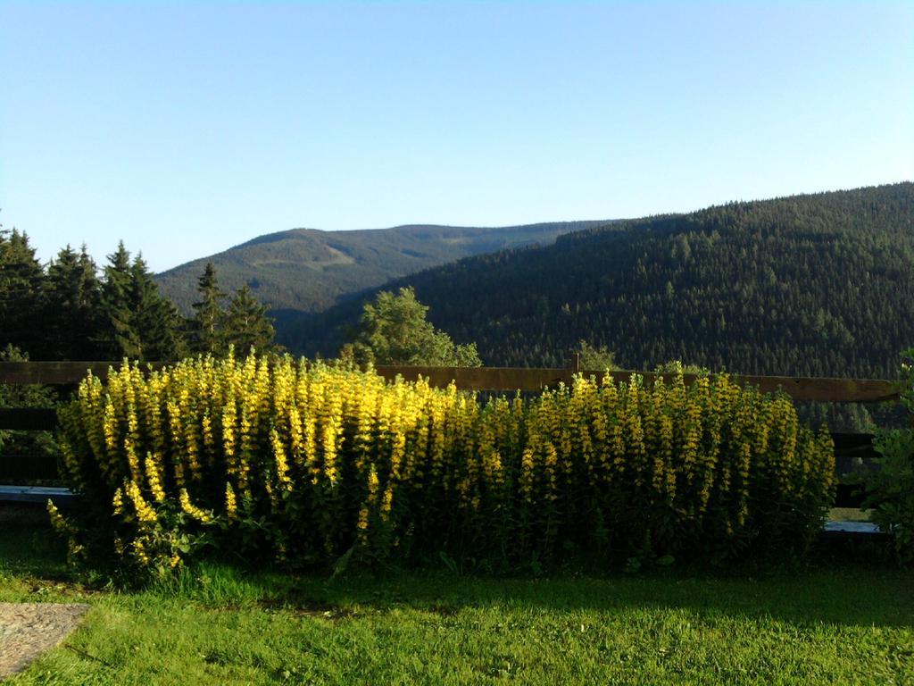 Penzion Kobr Pec pod Snezkou Exterior foto